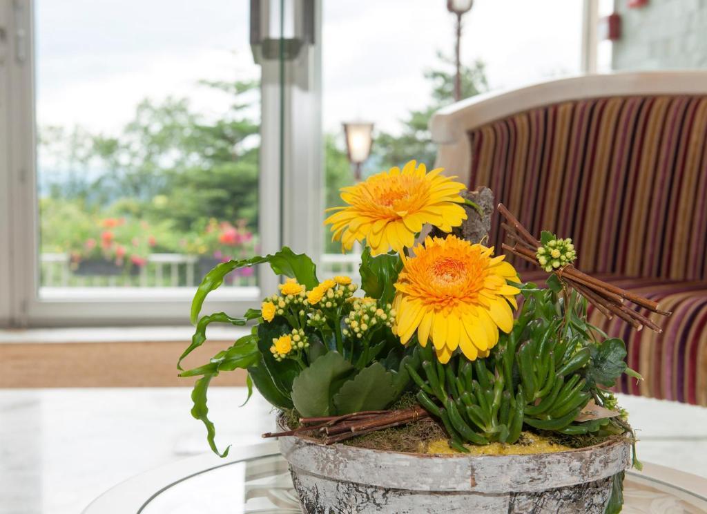 Alexain Hotel Restaurant & Wellness - Colmar Ouest Trois-Épis Zewnętrze zdjęcie
